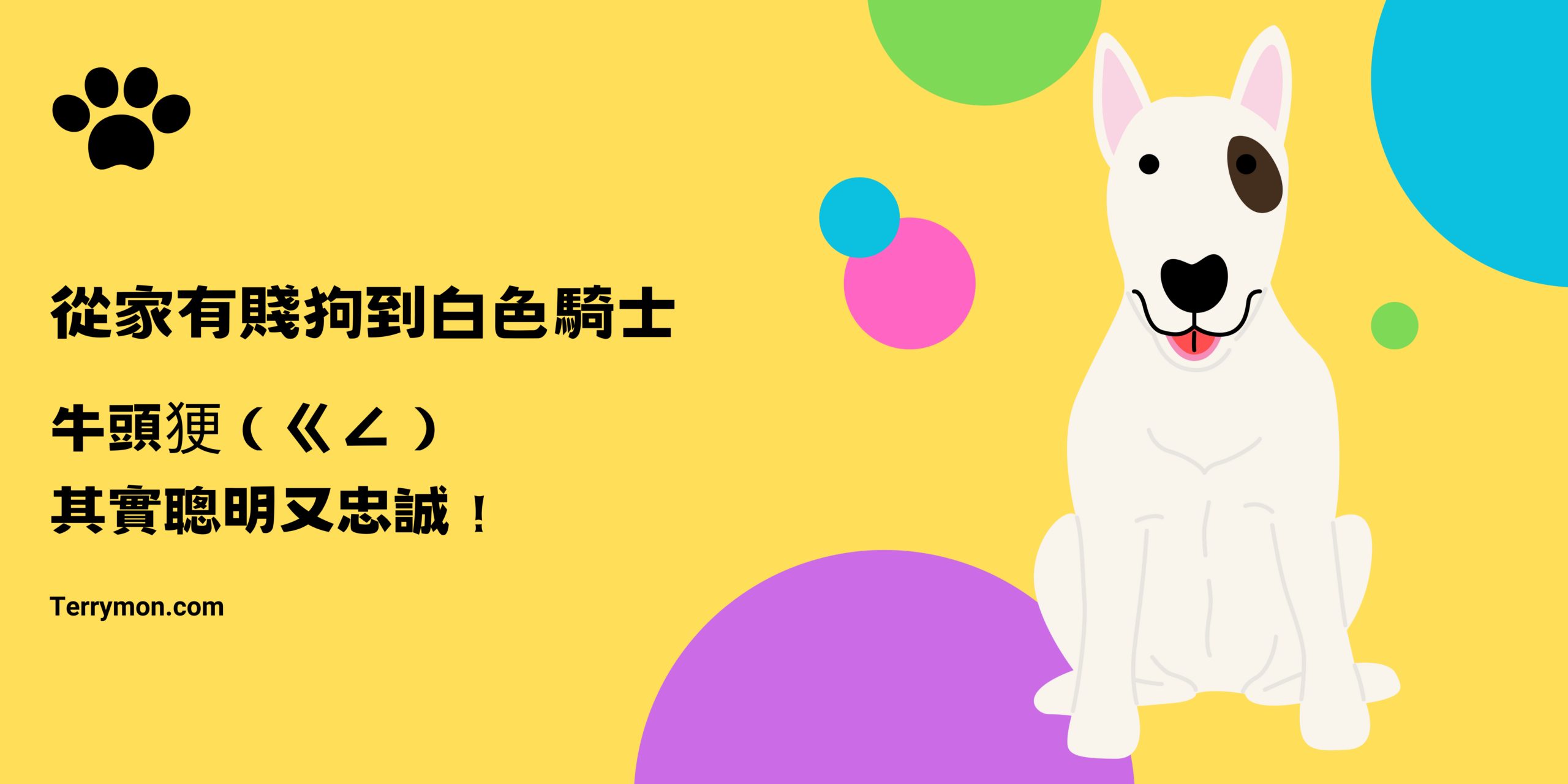 給新手貓奴的選購指南！想幫主子買玩具卻苦無idea ？從貓爬架選購下手就對了