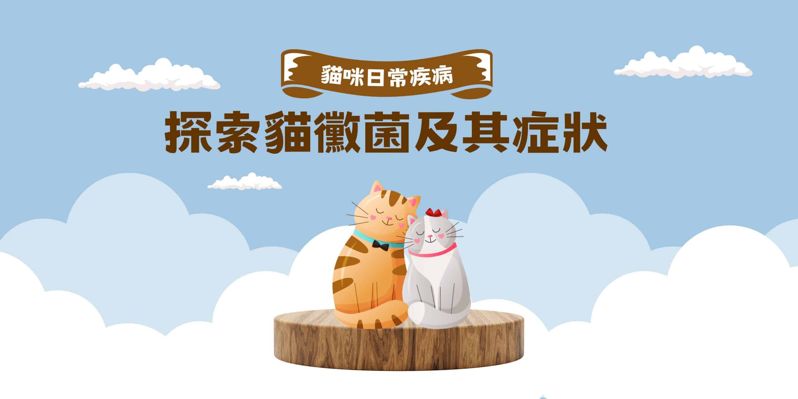貓咪日常疾病｜探索貓黴菌及其症狀