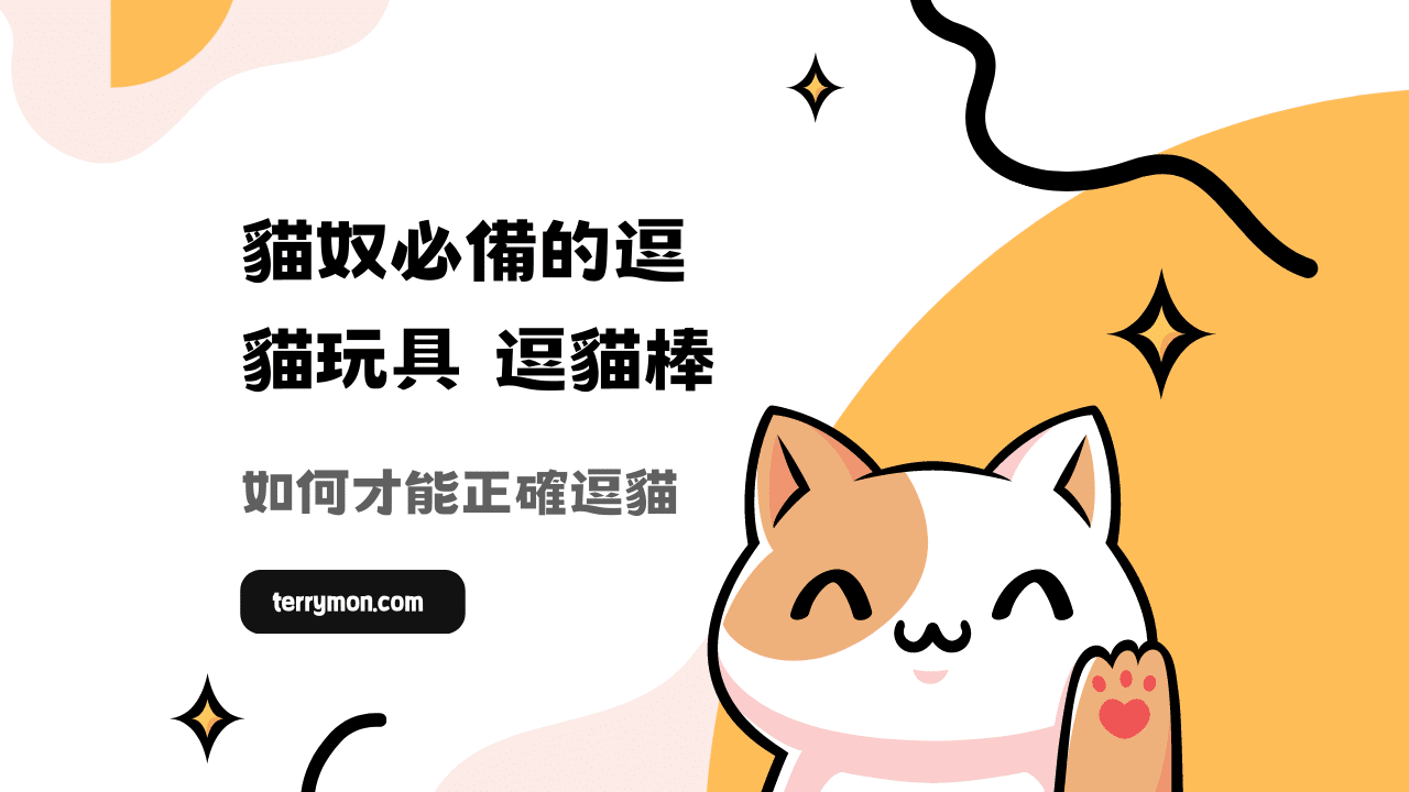 貓奴必備的逗貓玩具 – 逗貓棒！如何才能正確逗貓
