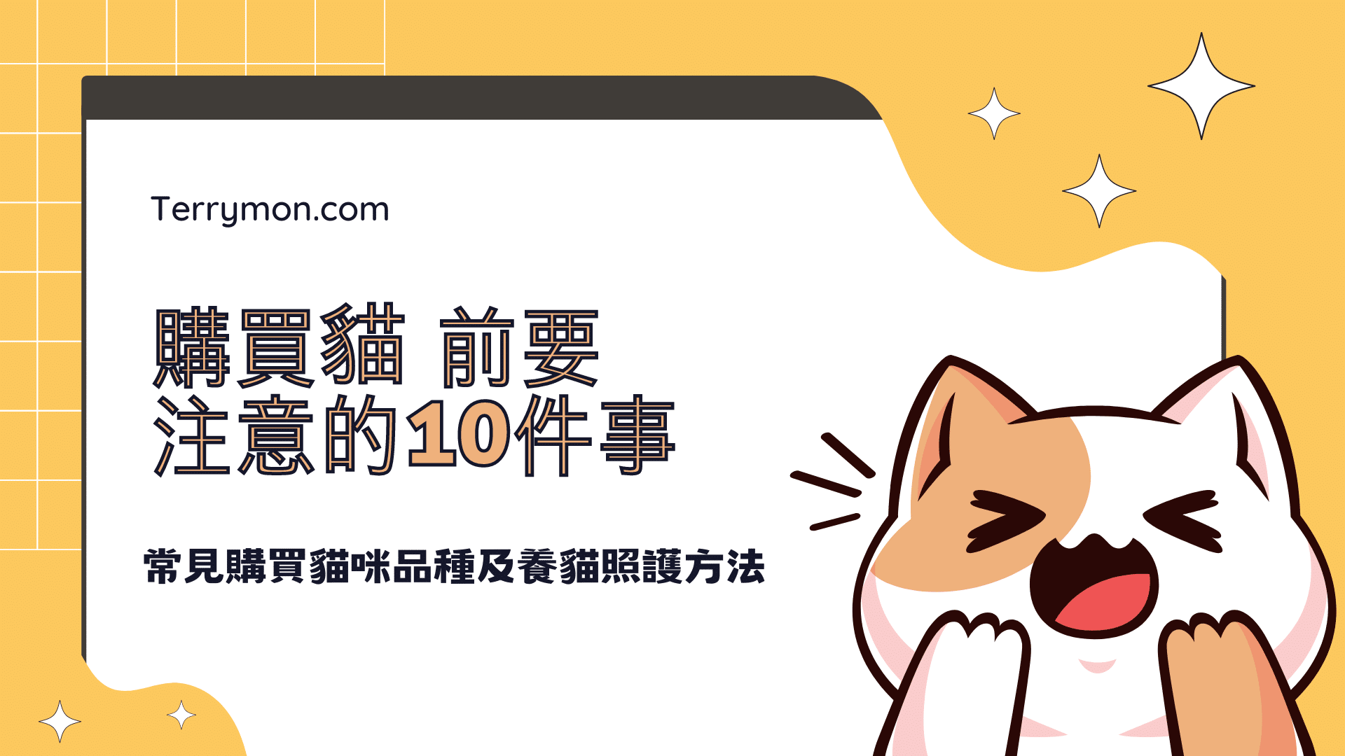 購買貓咪前要注意的10件事、常見購買貓咪品種及養貓照護方法