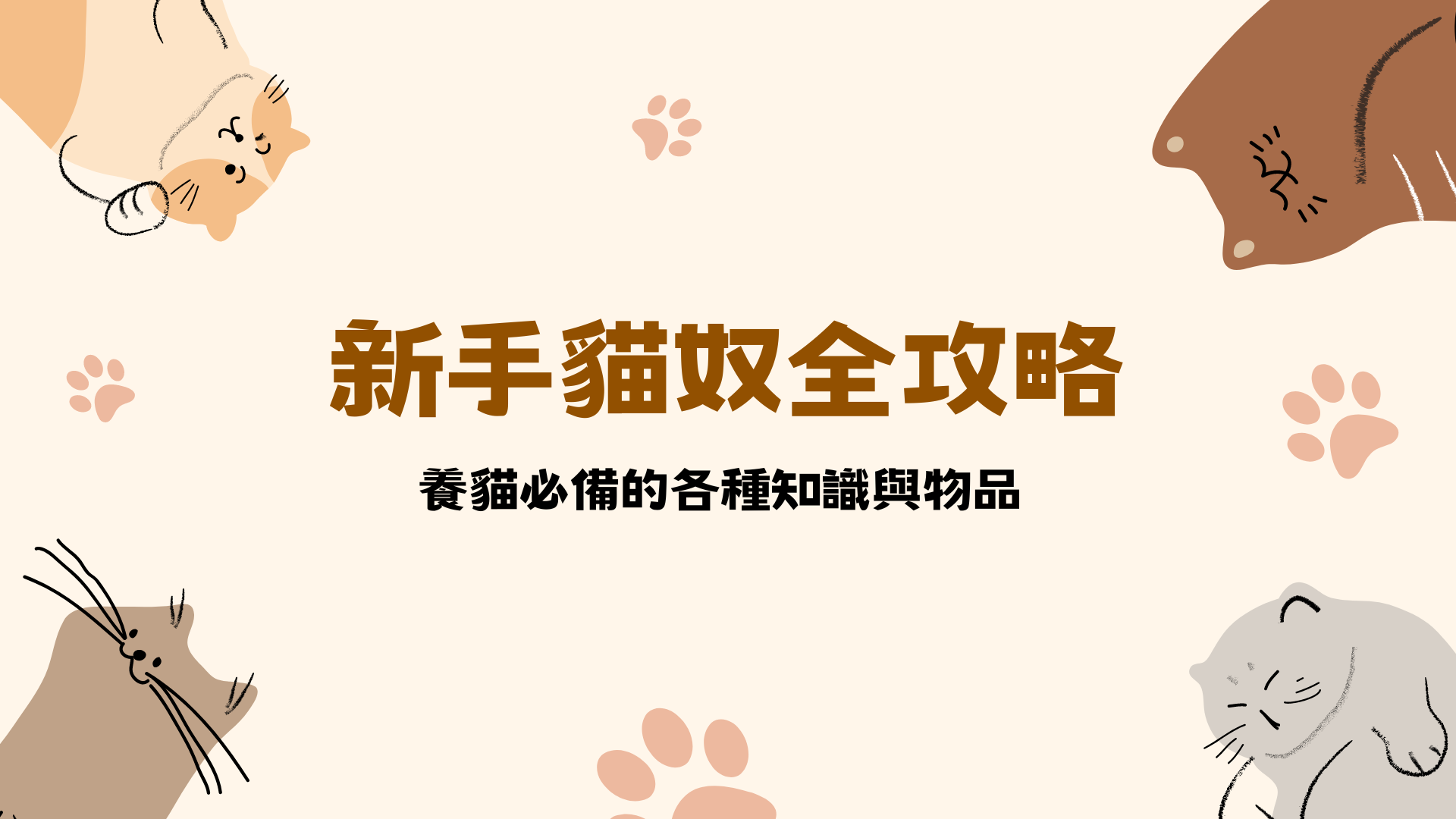 想養貓前先做好這些注意事項！新手養貓必看9個養貓須知！