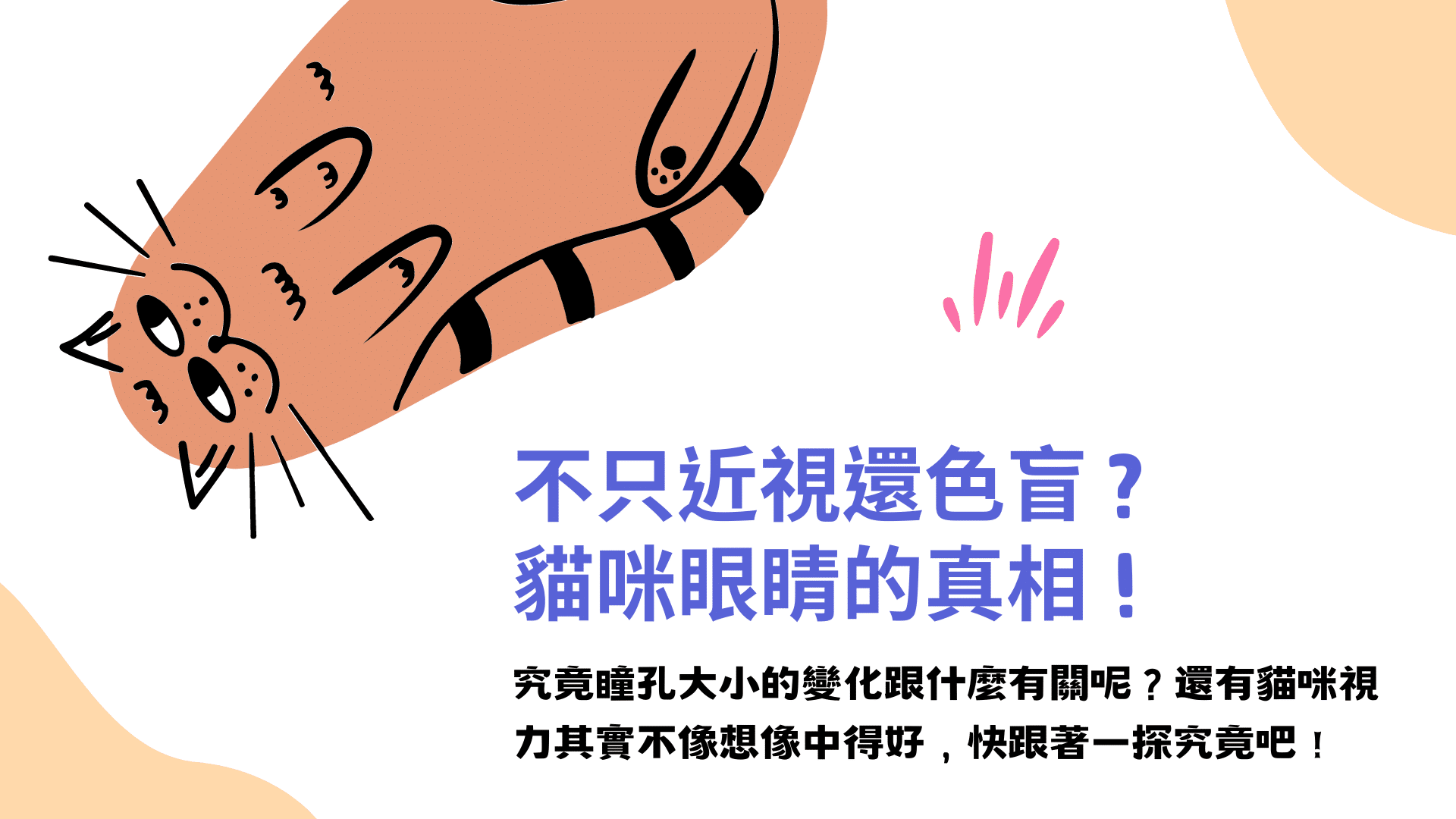 不只近視還色盲？貓咪眼睛的真相