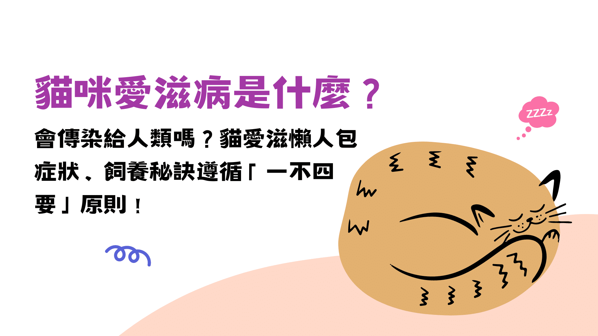 貓咪愛滋病是什麼？貓愛滋懶人包：症狀、飼養秘訣遵循「一不四要」原則！