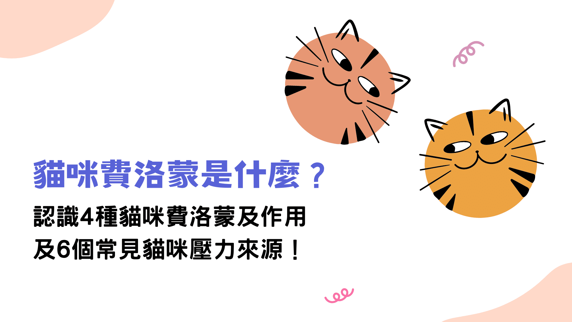 貓咪費洛蒙是什麼？為什麼需要、如何使用、種類與功效一次告訴你