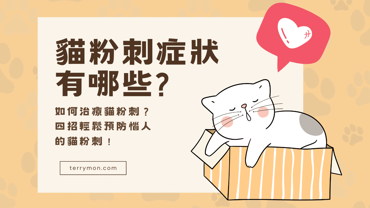 貓粉刺症狀有哪些？如何治療貓粉刺？4招輕鬆預防惱人的貓粉刺！