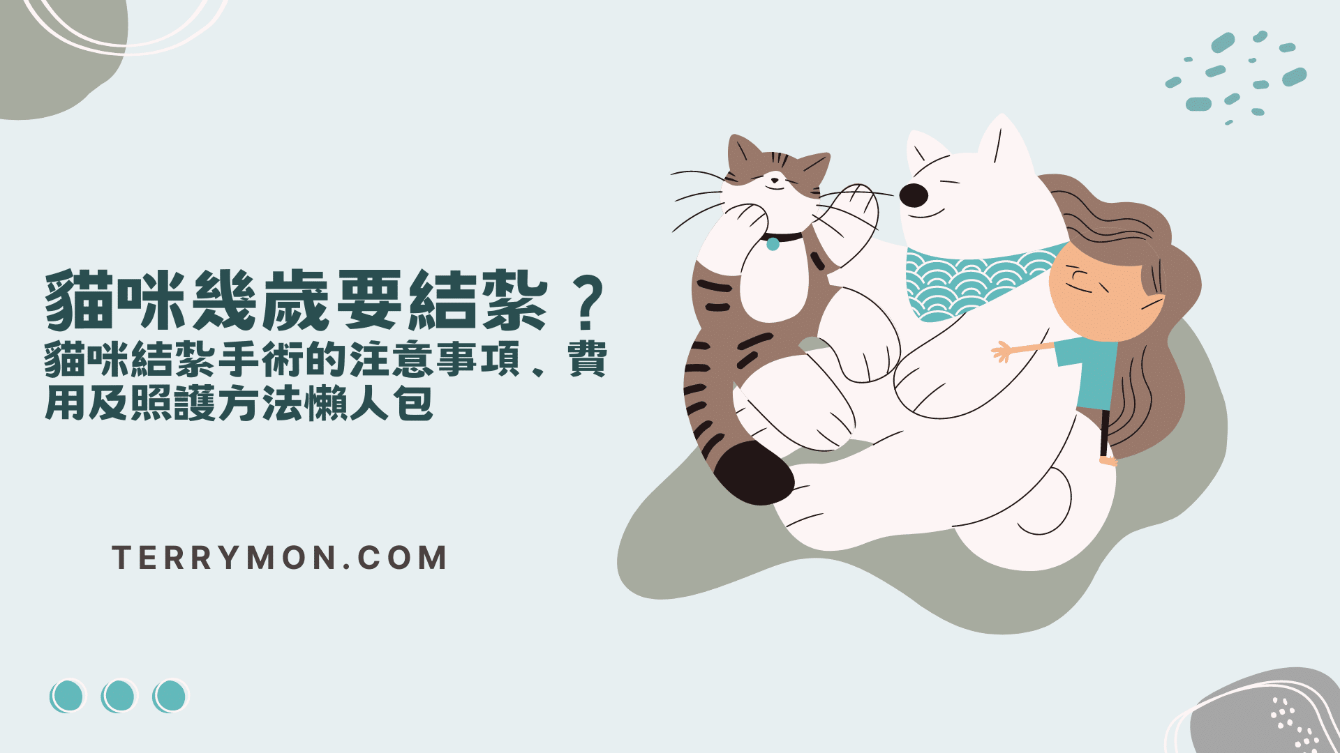 貓咪幾歲要結紮？貓咪結紮手術的注意事項、費用及照護方法懶人包
