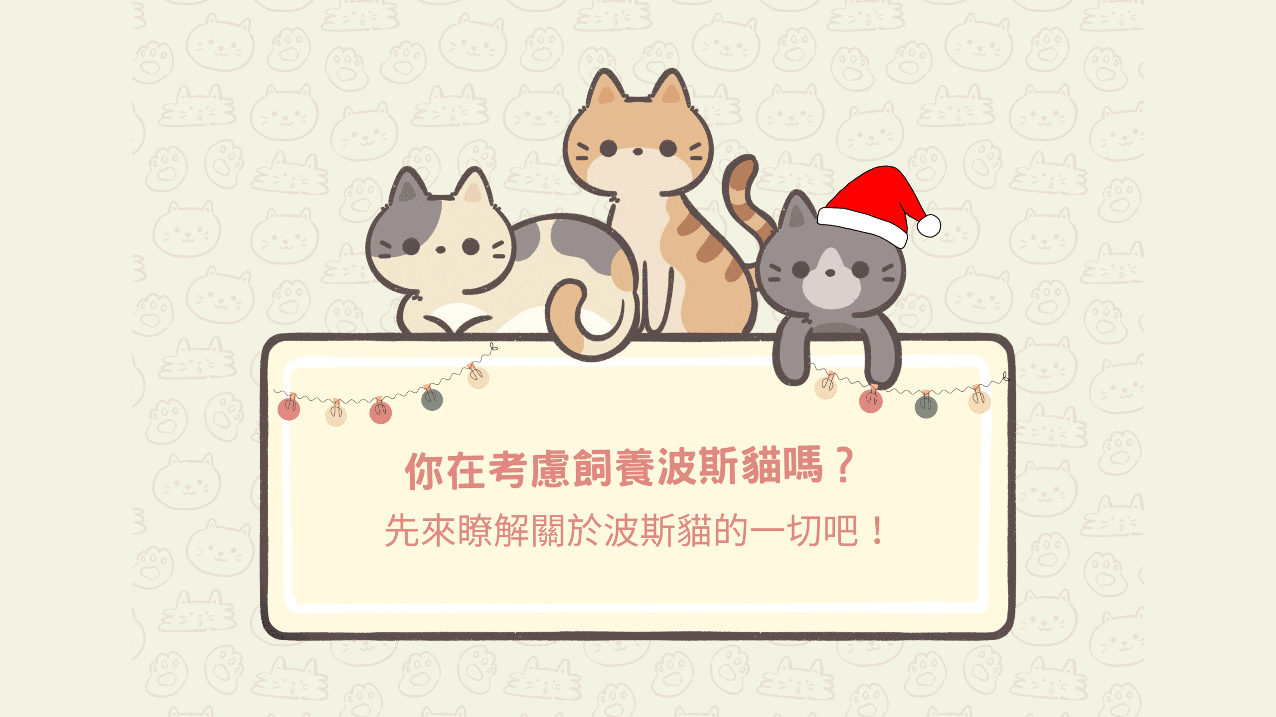 還在考慮飼養波斯貓嗎？先來瞭解關於波斯貓的一切吧！