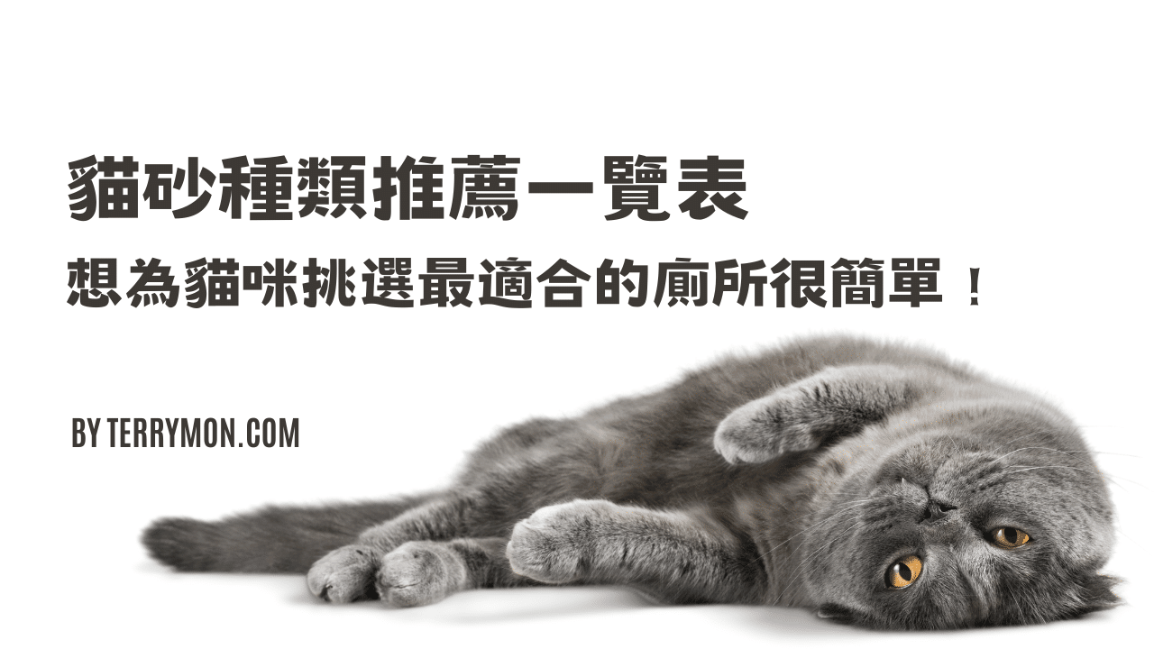 5大貓砂種類推薦一覽表：想為貓咪挑選最適合的廁所很簡單！