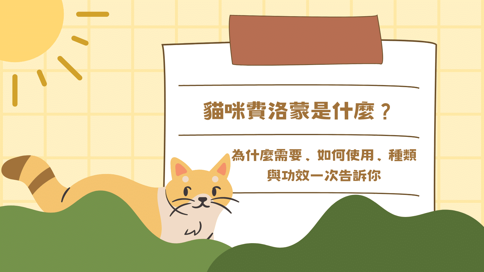 貓咪費洛蒙是什麼？為什麼需要、如何使用、種類與功效一次告訴你