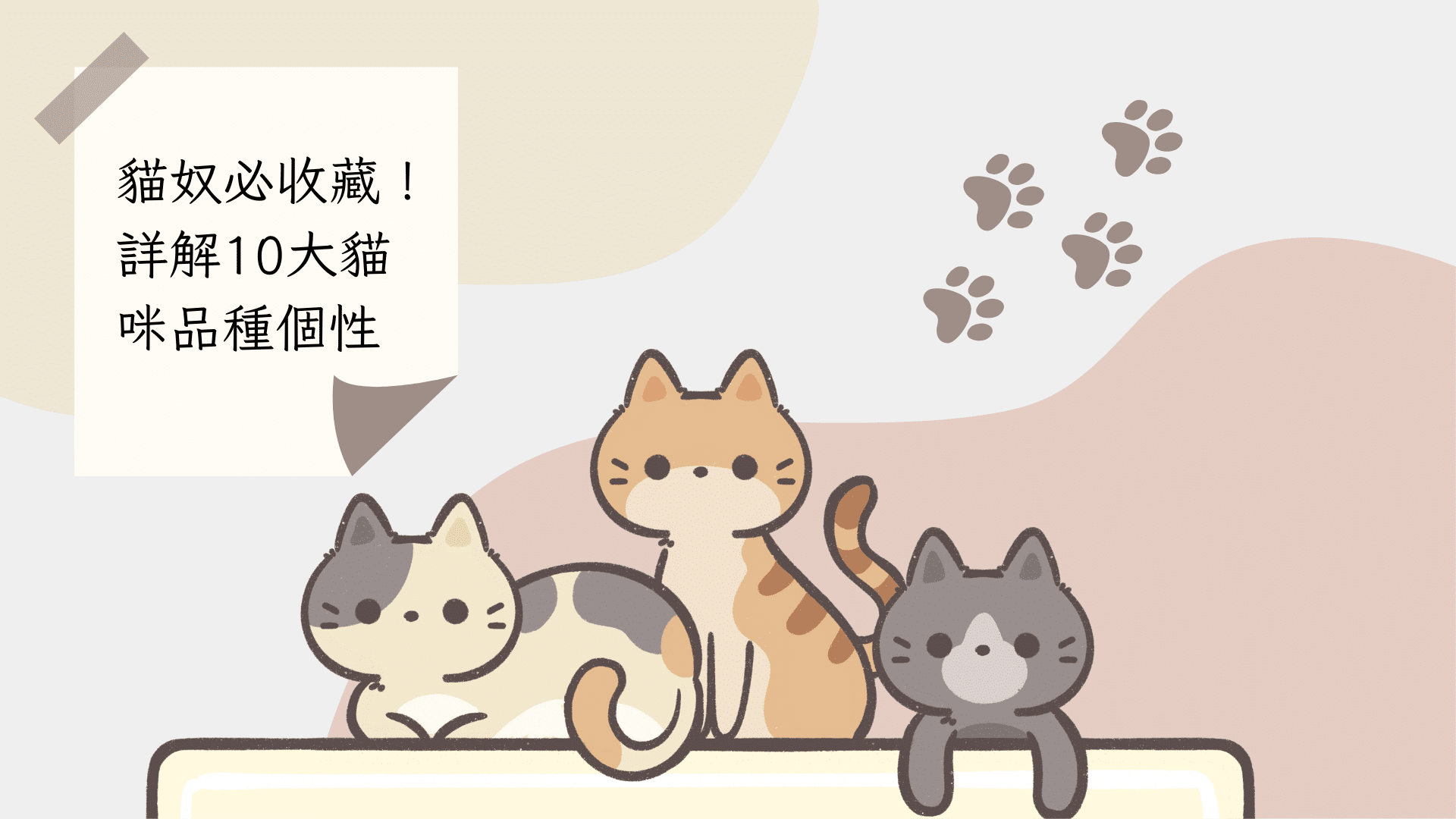 貓奴必收藏！詳解10大貓咪品種，個性也與品種有關？