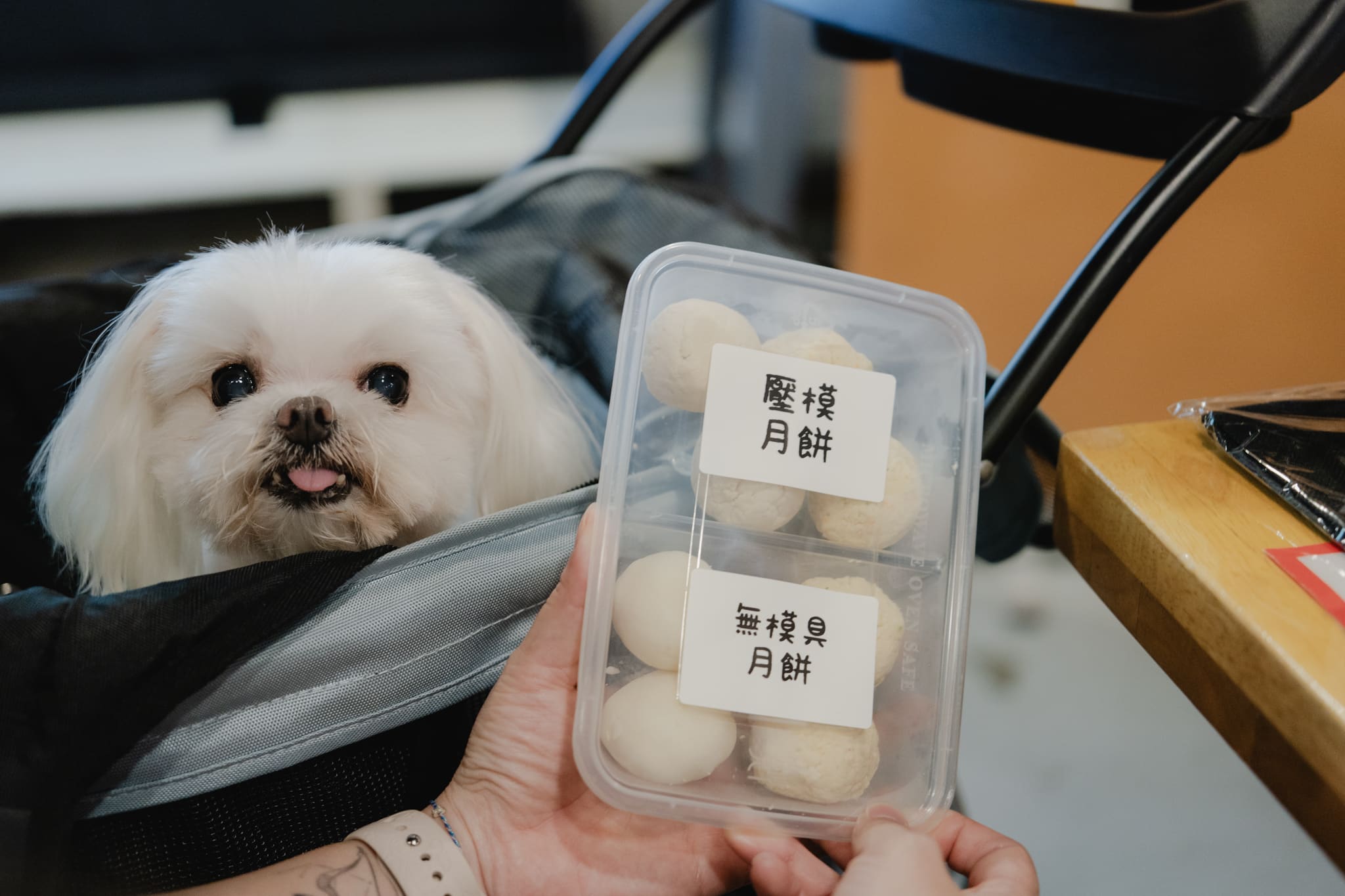 TerryMon 中秋手作寵物月餅私人派對（已結束）