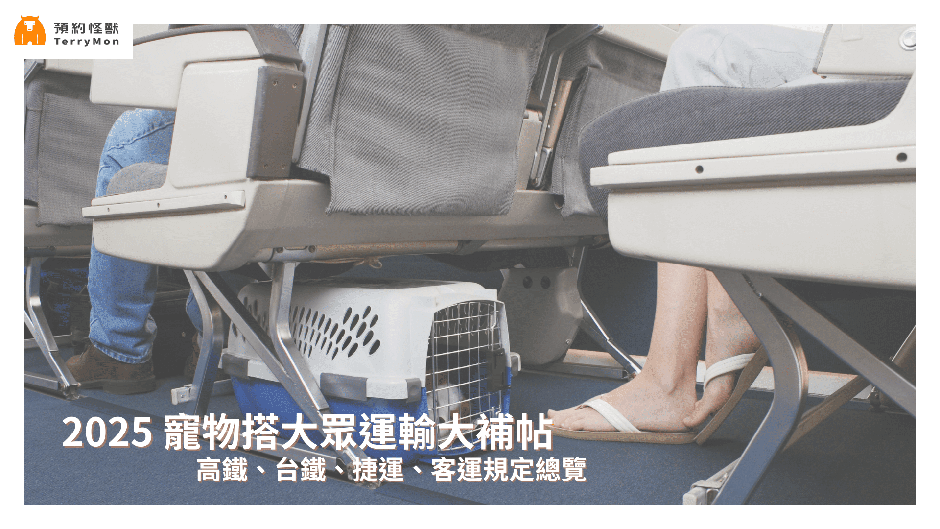 2025 寵物搭乘大眾運輸大補帖：高鐵、台鐵、捷運、客運規定總覽