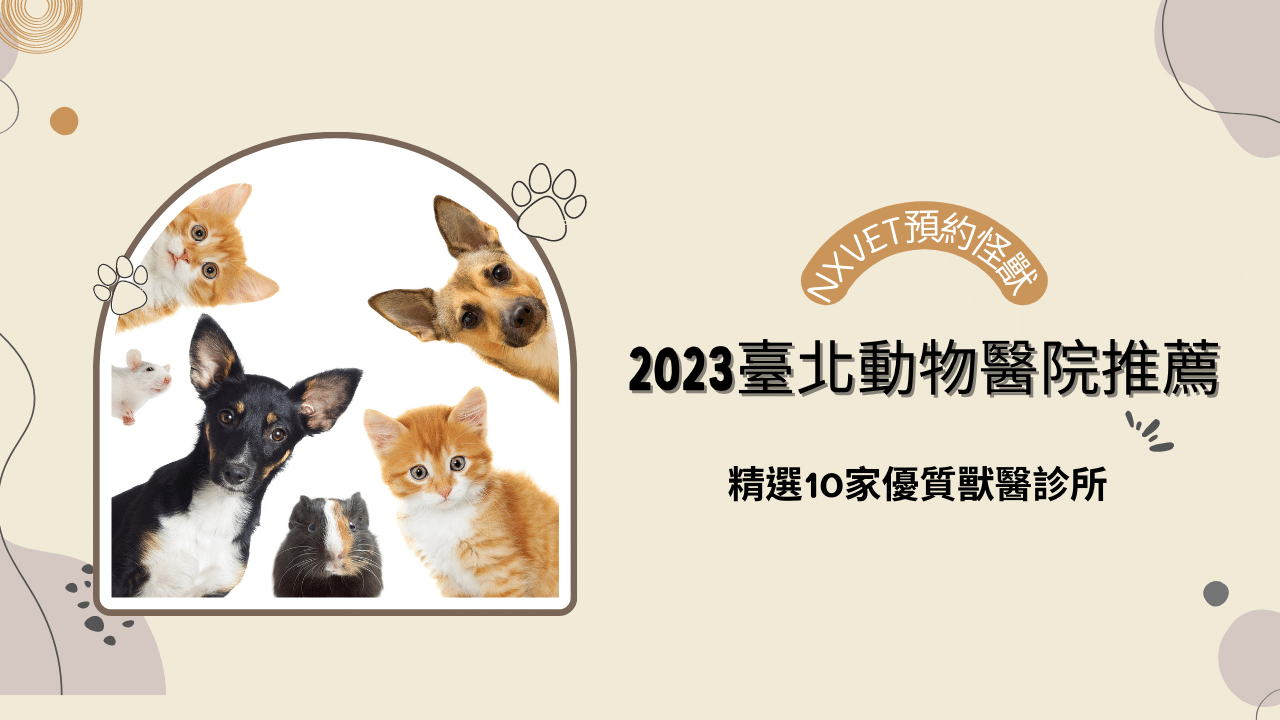 2025 年台北動物醫院推薦｜10 家精選獸醫與急診服務