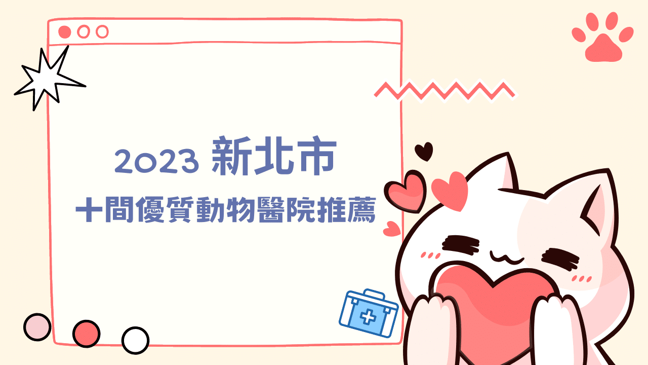 新北市獸醫推薦：10 間高評價動物醫院，守護毛寶貝健康！