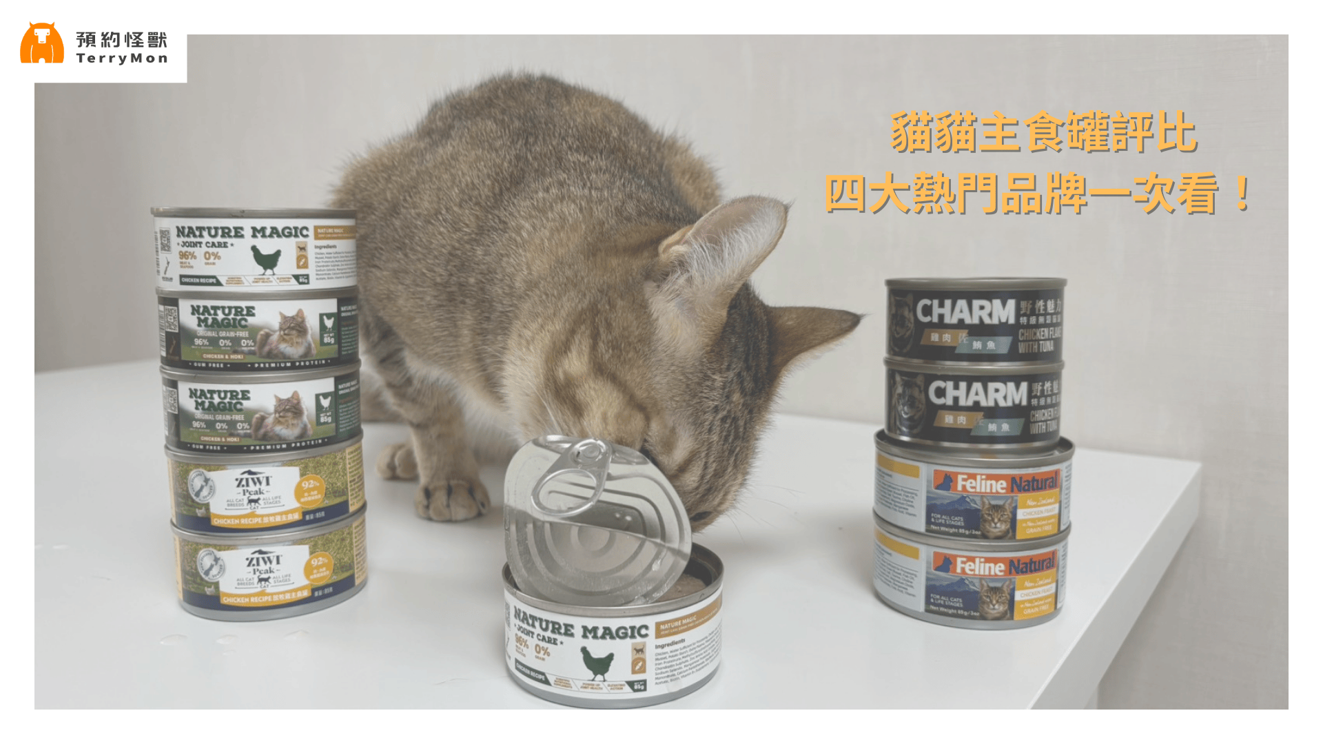 2025 貓咪主食罐推薦 | 4 大熱門品牌主食罐評比：產品特色、價格與網友評價一次看！